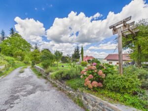 Auffahrt + Garten
